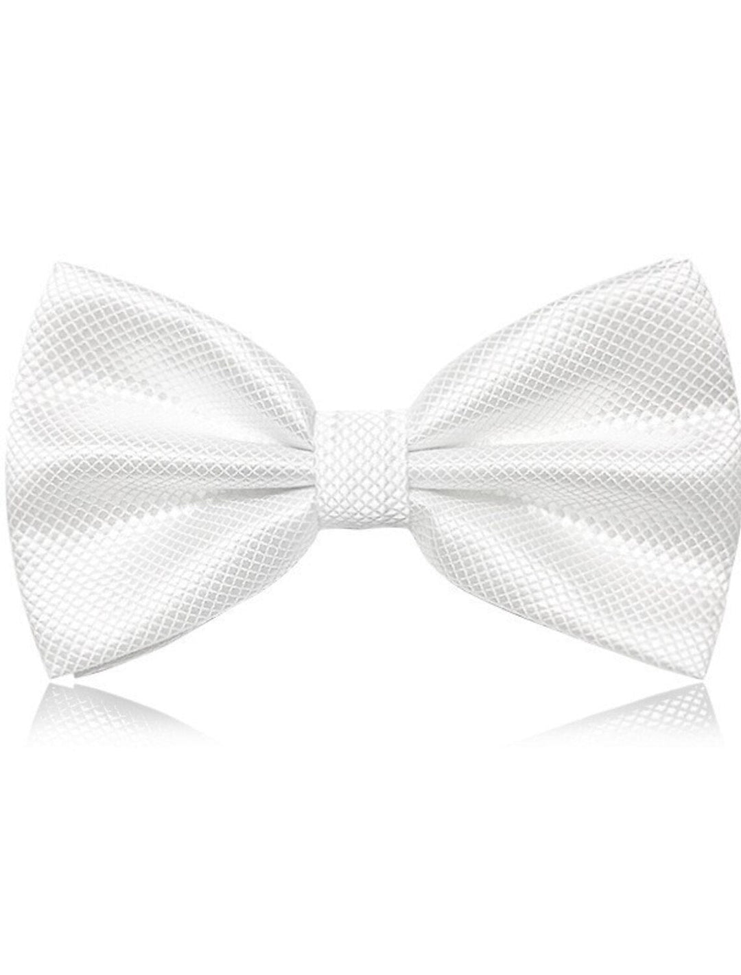Nœud Papillon Classique Pour Homme - Cravate Unie Formelle - Plaid