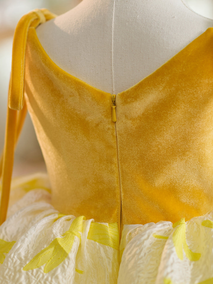 Robe de Fête D'Anniversaire pour Tout-Petits en Tulle et Velours Doré, Longueur Genou