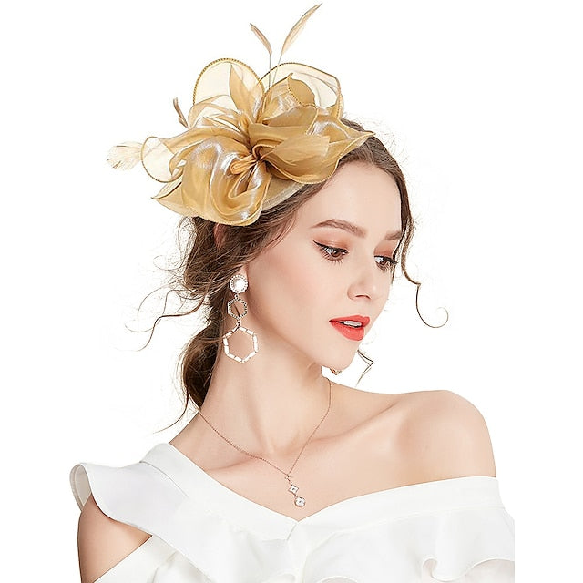 Fascinators Casque Tulle Tea Party Course de chevaux Dames Jour élégant Rétro Avec Plume