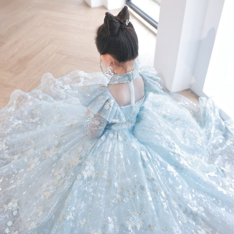 Robe de Soirée en Dentelle à Manches Longues pour Fille, Coupe A-Line/Princess, avec Appliques et Traîne