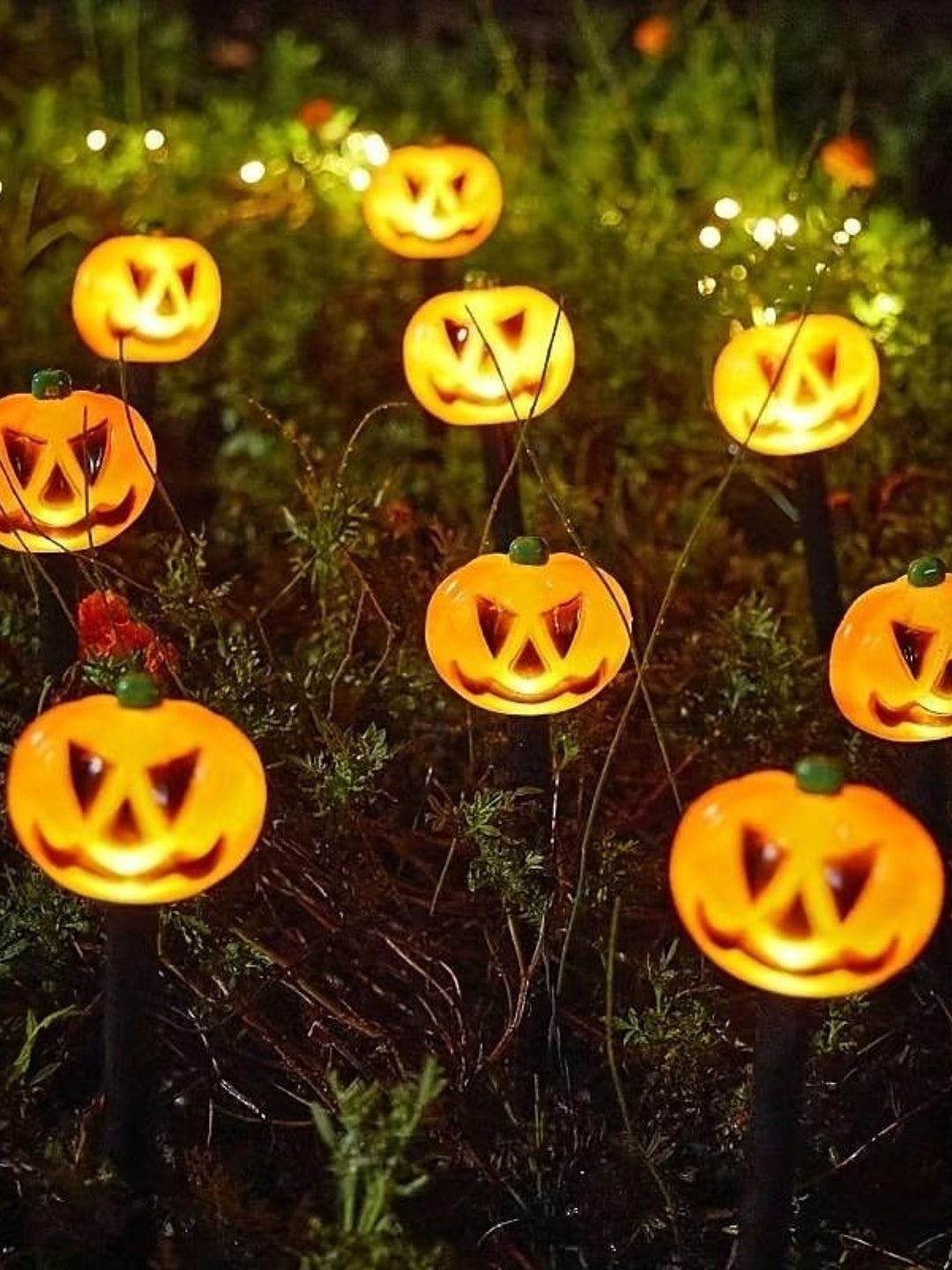Lanterne Solaire de Décoration D'Horreur avec Tête de Mort et Citrouille pour Halloween