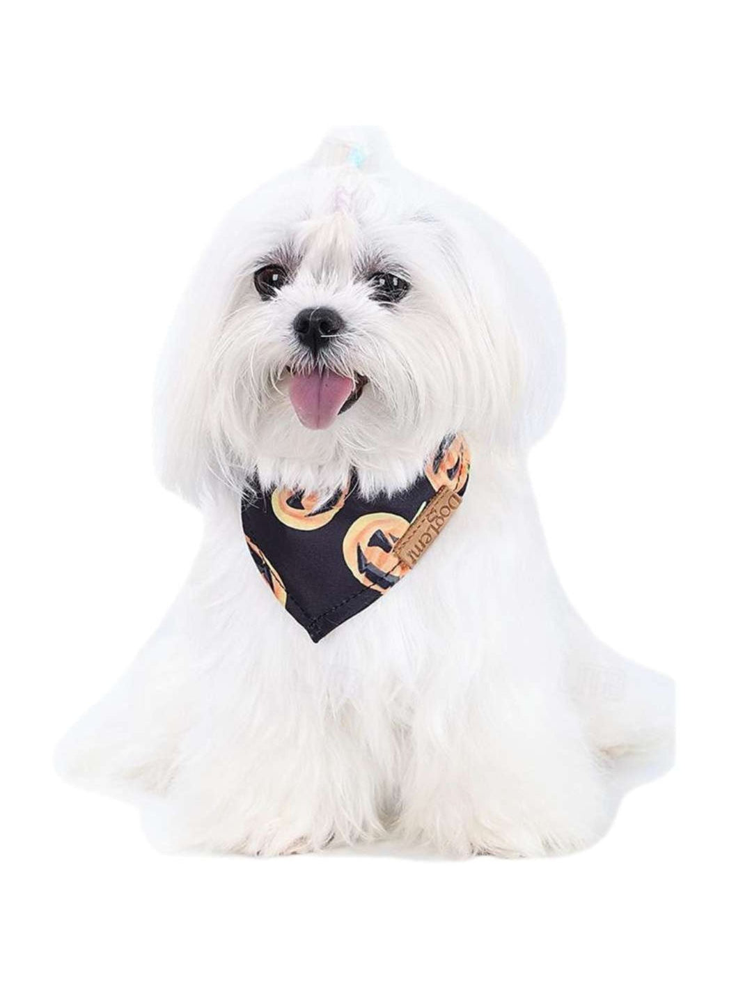 Bandana pour Animal de Compagnie, Mignon, Drôle et Doux, Décoration pour Costume D'Halloween